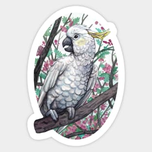 Cockatoo Sticker